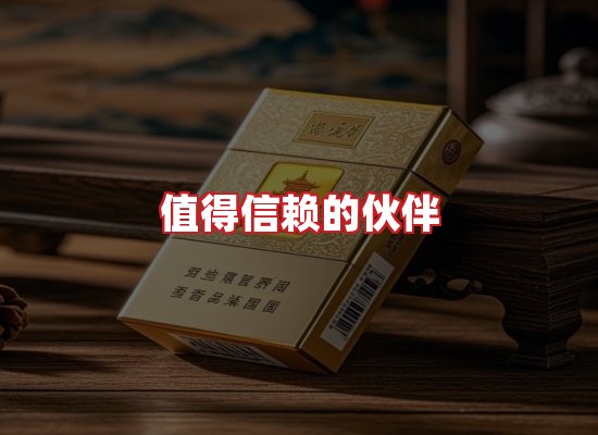 专业团队